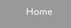 Home button